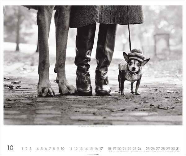 Produktbild: Magnum Photos - Elliott Erwitt Kalender 2027