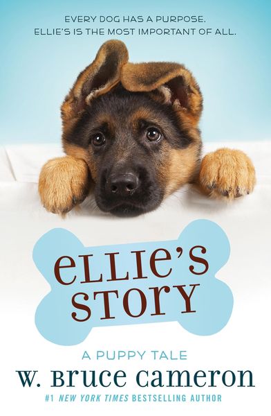 Produktbild: Ellie's Story