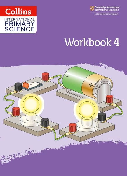 Produktbild: International Primary Science Workbook: Stage 4