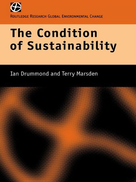 Produktbild: The Condition of Sustainability
