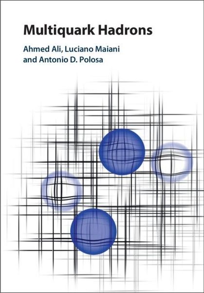 Produktbild: Multiquark Hadrons