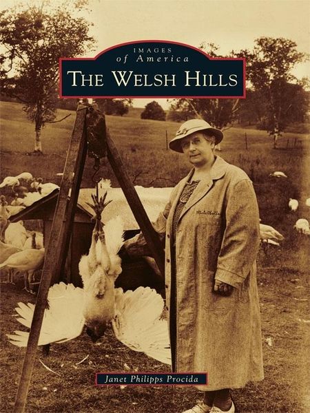 Produktbild: Welsh Hills