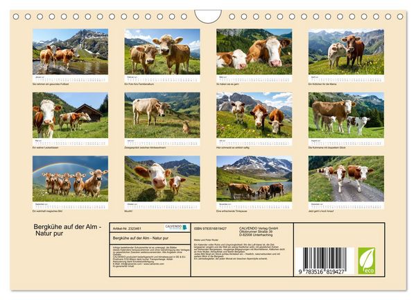 Produktbild: Bergk&uuml;he auf der Alm - Natur pur (Wandkalender 2027 DIN A4 quer), CALVENDO Monatskalender