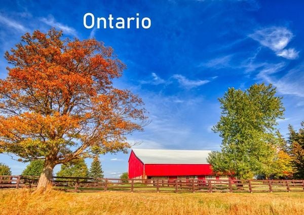 Produktbild: Ontario