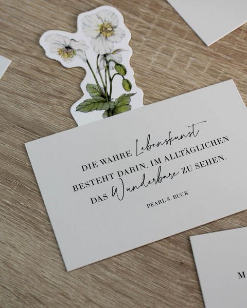 Produktbild: WiesenTraum