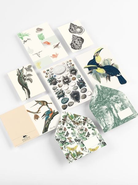Produktbild: Natural History