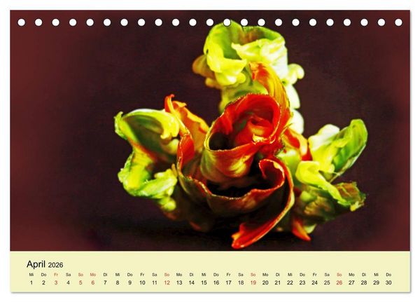 Produktbild: Fantastische Reise in die Welt der Blumen (Tischkalender 2026 DIN A5 quer), CALVENDO Monatskalender