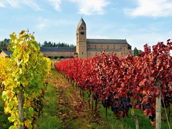 Produktbild: CALVENDO Puzzle Abtei St. Hildegard 1000 Teile Puzzle quer | 1000 Teile Lege-Gr&ouml;&szlig;e 64 &times; 48 cm Foto-Puzzle f&uuml;r gl&uuml;ckliche Stunden