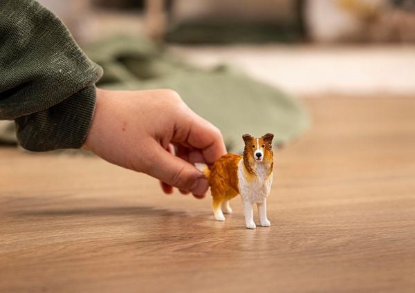 Produktbild: schleich&reg; 13998 Collie