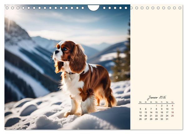 Produktbild: Goldige Kavalier King Charles Spaniels (Wandkalender 2026 DIN A4 quer), CALVENDO Monatskalender