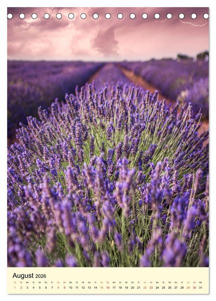 Produktbild: Provence Lavendel Paradies (Tischkalender 2026 DIN A5 hoch), CALVENDO Monatskalender