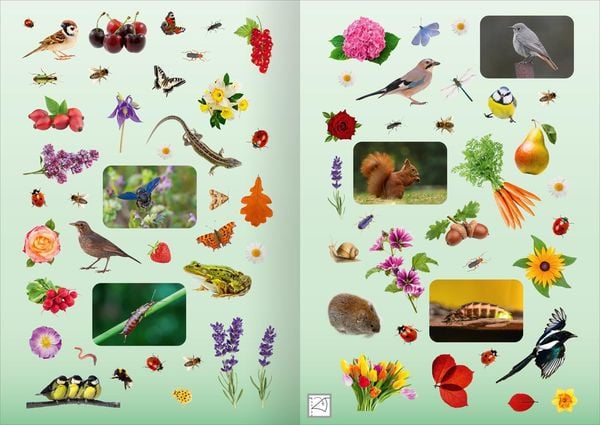 Produktbild: Naturforscher-Kids &ndash; Fotosticker Im Garten
