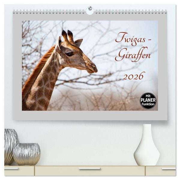Produktbild: Twigas - Giraffen (hochwertiger Premium Wandkalender 2026 DIN A2 quer), Kunstdruck in Hochglanz