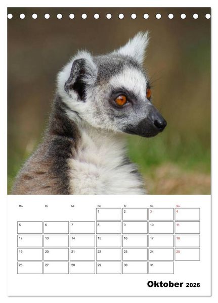 Produktbild: Katta Terminplaner (Tischkalender 2026 DIN A5 hoch), CALVENDO Monatskalender
