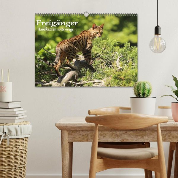 Produktbild: Freig&auml;nger - Hauskatzen unterwegs (Wandkalender 2026 DIN A3 quer), CALVENDO Monatskalender