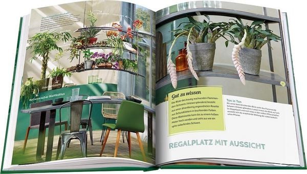 Produktbild: Pflanzen ganz privat