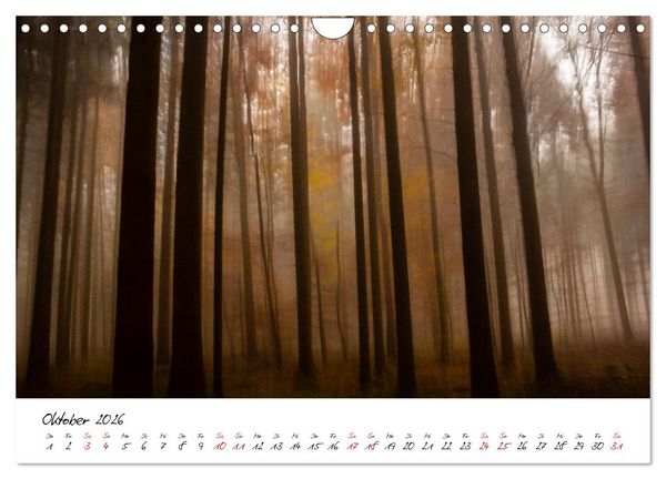 Produktbild: Abstrakte Landschaft ICM (Intentional Camera Movement) Fotografie (Wandkalender 2026 DIN A4 quer), CALVENDO Monatskalender