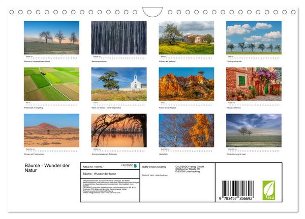 Produktbild: B&auml;ume - Wunder der Natur (Wandkalender 2026 DIN A4 quer), CALVENDO Monatskalender