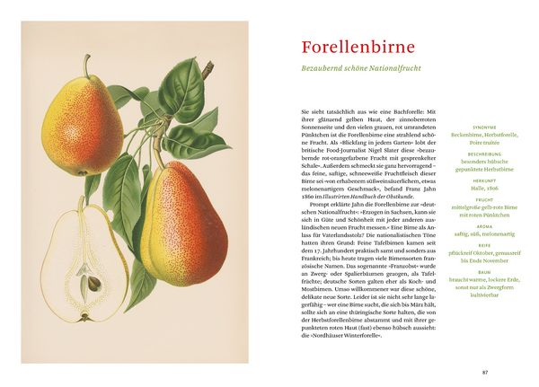Produktbild: Die alten Obstsorten