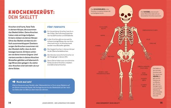 Produktbild: Unser K&ouml;rper