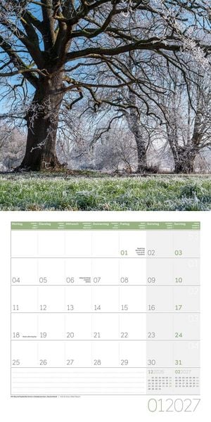 Produktbild: B&auml;ume Kalender 2027 - 30x30 - Art12