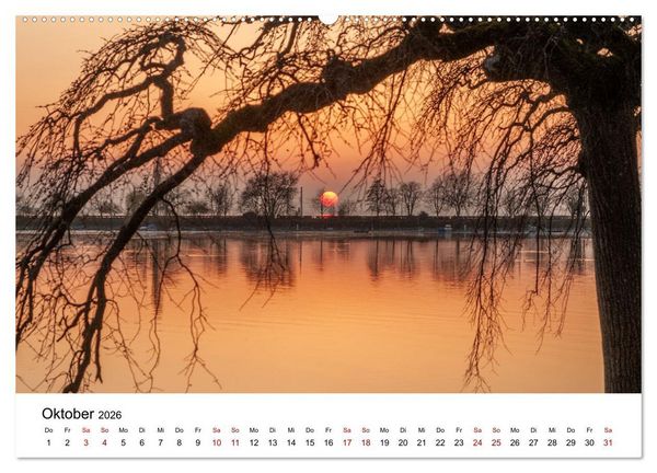 Produktbild: B&auml;ume - Wunder der Natur (hochwertiger Premium Wandkalender 2026 DIN A2 quer), Kunstdruck in Hochglanz