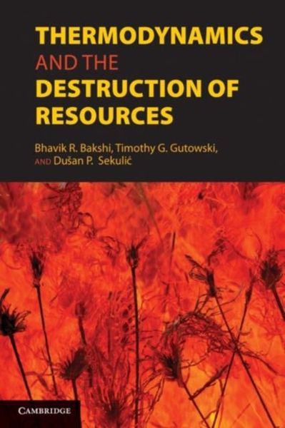 Produktbild: Thermodynamics and the Destruction of Resources