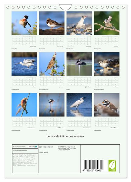 Produktbild: Le monde intime des oiseaux (Calendrier mural 2026 DIN A4 horizontal), CALVENDO calendrier mensuel