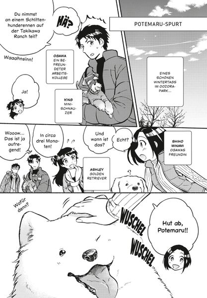 Produktbild: One Room Dog 4