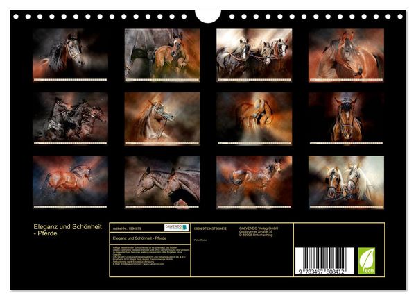 Produktbild: Eleganz und Sch&ouml;nheit - Pferde (Wandkalender 2026 DIN A4 quer), CALVENDO Monatskalender