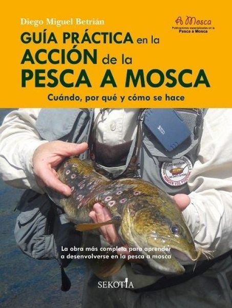 Produktbild: Gu&iacute;a pr&aacute;ctica en la acci&oacute;n de la pesca a mosca
