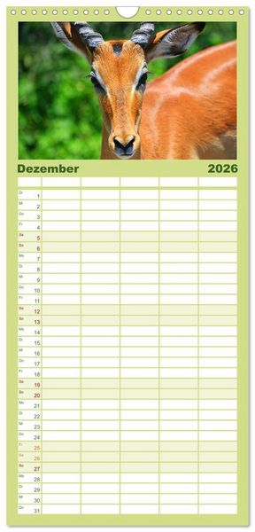 Produktbild: Familienplaner 2026 - Botswana- Pirschfahrt mit Garantie auf Wildlife mit 5 Spalten (Wandkalender, 21 x 45 cm) CALVENDO