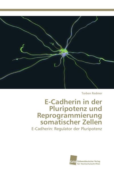 E-Cadherin in der Pluripotenz und Reprogrammierung somatischer Zellen, Taschenbuch von Torben Redmer, Südwestdeutscher Verlag für Hochschulschriften,