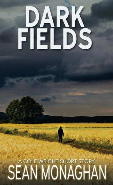 Produktbild: Dark Fields (Cole Wright, #101)