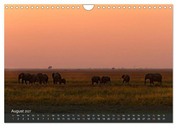 Produktbild: Elefanten (Wandkalender 2027 DIN A4 quer), CALVENDO Monatskalender