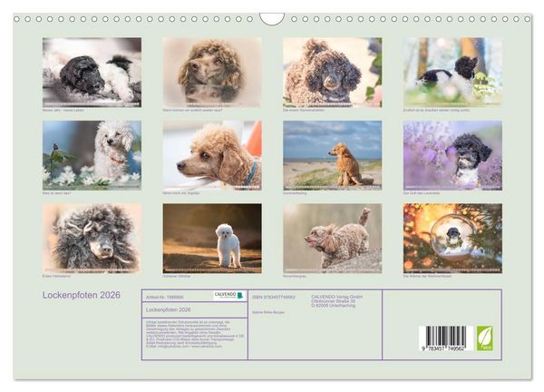 Produktbild: Lockenpfoten 2026 (Wandkalender 2026 DIN A3 quer), CALVENDO Monatskalender