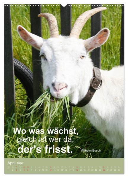 Produktbild: Nimm das Leben leicht, auch wenn's manchmal schwerf&auml;llt (hochwertiger Premium Wandkalender 2026 DIN A2 hoch), Kunstdruck in Hochglanz