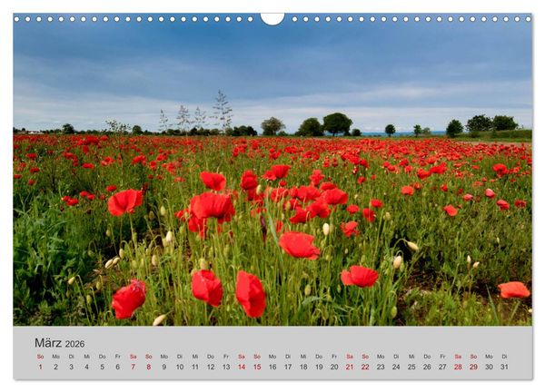 Produktbild: Die Sch&ouml;nheit der Bretagne (Wandkalender 2026 DIN A3 quer), CALVENDO Monatskalender