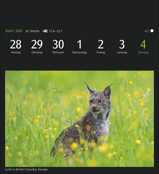 Produktbild: GEO Magische Natur Postkartenkalender 2027 - Wochenkalender mit 53 Postkarten
