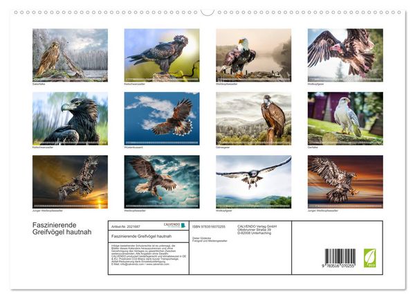 Produktbild: Faszinierende Greifv&ouml;gel hautnah (hochwertiger Premium Wandkalender 2026 DIN A2 quer), Kunstdruck in Hochglanz