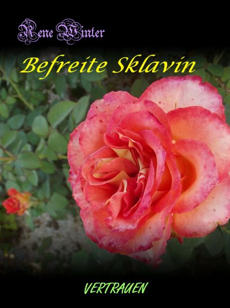 Produktbild: Befreite Sklavin