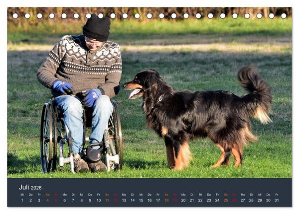 Produktbild: Ein Hovawart, ein Wachhund (Tischkalender 2026 DIN A5 quer), CALVENDO Monatskalender