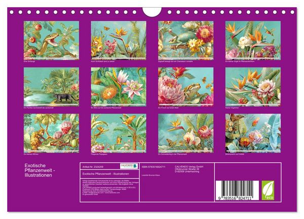 Produktbild: Exotische Pflanzenwelt - Illustrationen (Wandkalender 2027 DIN A4 quer), CALVENDO Monatskalender