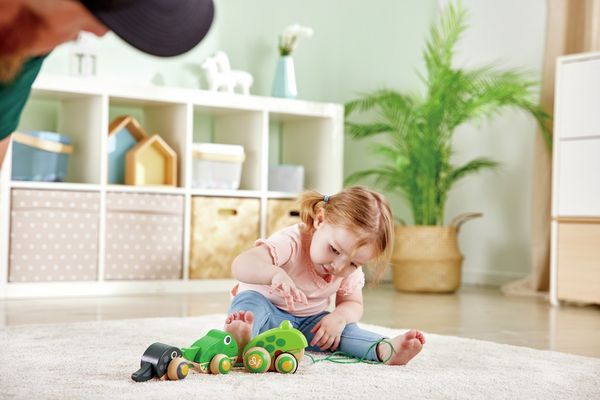 Produktbild: Nachziehbare Frosch-Familie