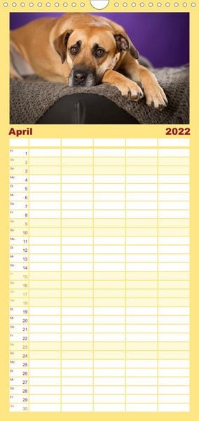 Produktbild: Familienplaner Bunte Pfoten (Wandkalender 2022 , 21 cm x 45 cm, hoch)