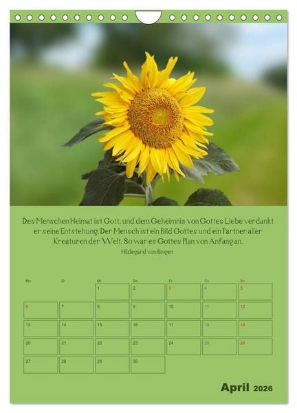 Produktbild: Erkenntnis und Weisheit - Hildegard von Bingen (Wandkalender 2026 DIN A4 hoch), CALVENDO Monatskalender