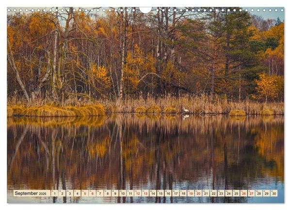 Produktbild: Herbst im Schwenninger Moos (Wandkalender 2026 DIN A3 quer), CALVENDO Monatskalender