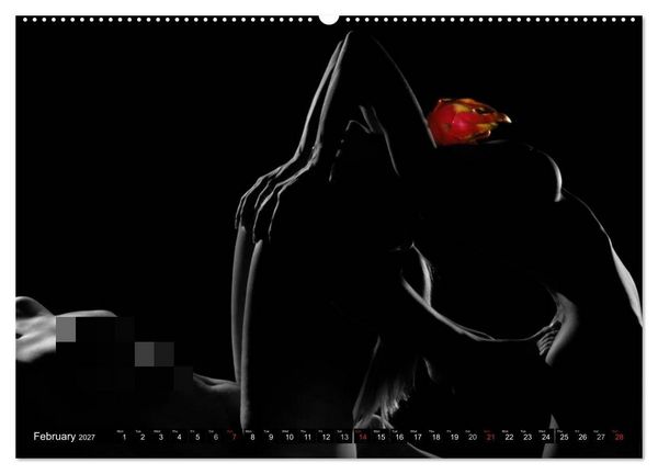 Produktbild: Fruit Nudes (High Quality Premium Wall Calendar 2027 DIN A2 landscape),CALVENDO 12 Month Wall Calendar