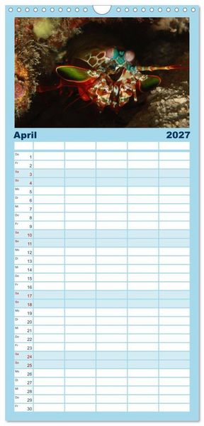 Produktbild: Familienplaner 2027 - Tauchen, Fische und Meer mit 5 Spalten (Wandkalender, 21 x 45 cm) CALVENDO