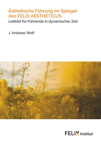 Produktbild: &Auml;sthetische F&uuml;hrung im Spiegel des FELIX AESTHETICUS